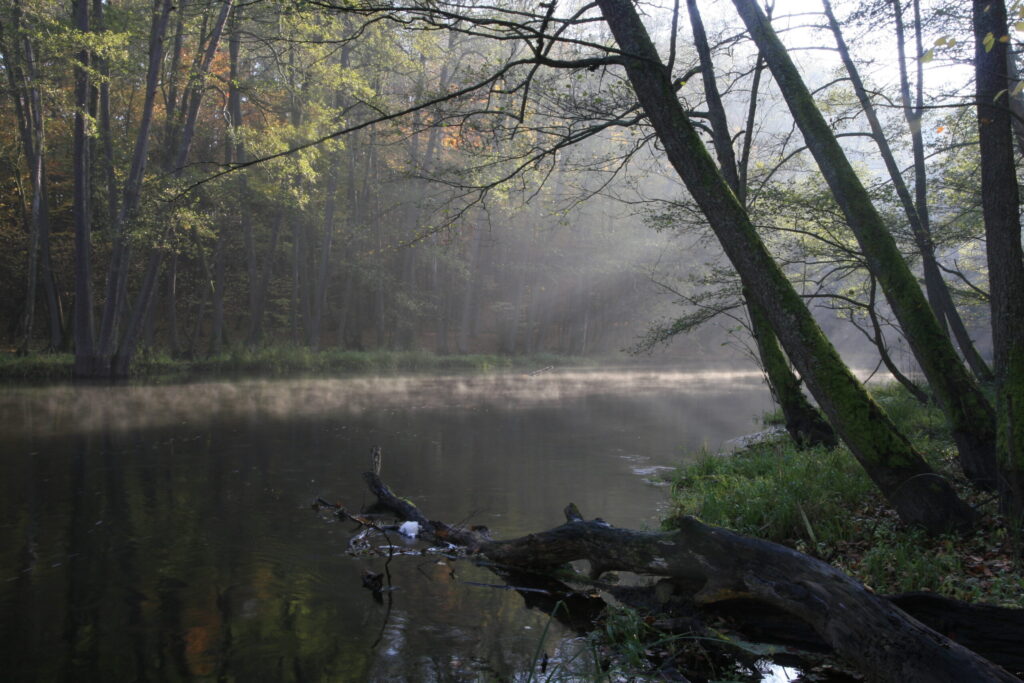 rzeka Drawa
