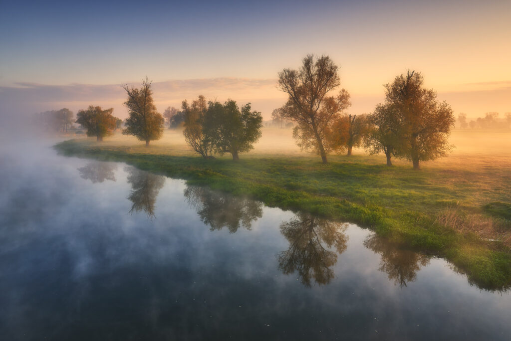 łęgi nad brzegiem Warty