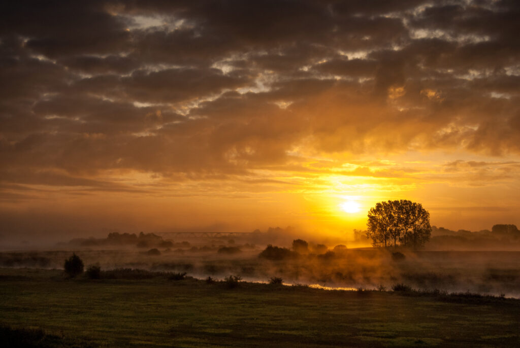 rozlewiska nad Wartą